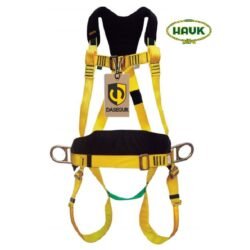 Arnés de 4 anillas con apoyo lumbar I4A4HH HAUK